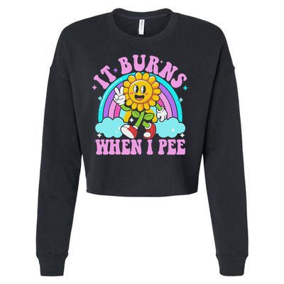 It Burns When I Pee Funny Sarcastic Ironic Inappropriate Cropped Pullover Crew