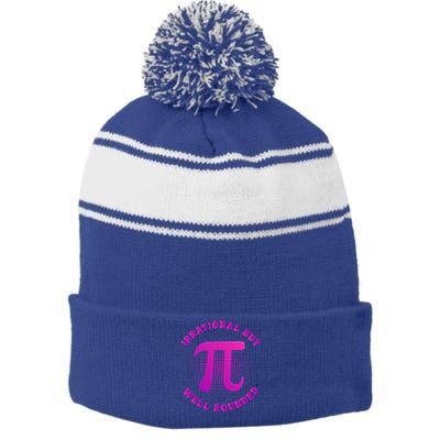 Irrational But Well Rounded Funny Pi Day 3 14 Teacher Math Cool Gift Stripe Pom Pom Beanie