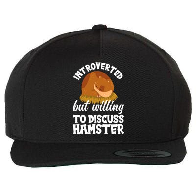 Introverted But Willing To Discuss Hamster Funny Hamster Gift Wool Snapback Cap