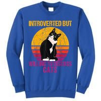 Introverted But Willing To Discuss Cats Sweatshirt