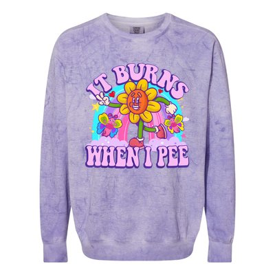 It Burns When I Pee Funny Sarcastic Ironic Inappropriate Colorblast Crewneck Sweatshirt