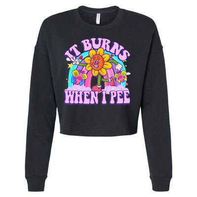 It Burns When I Pee Funny Sarcastic Ironic Inappropriate Cropped Pullover Crew