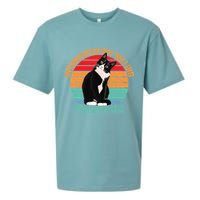 Introverted But Willing To Discuss Cats Introverted Cat Sueded Cloud Jersey T-Shirt
