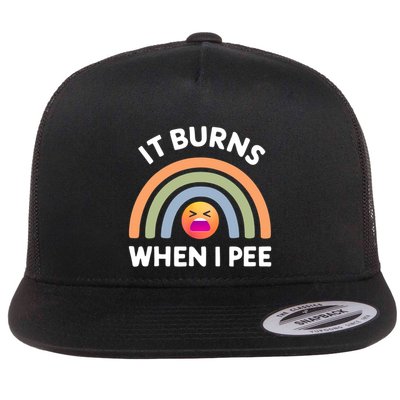 It Burns When I Pee Funny Sarcastic Flatbill Hat