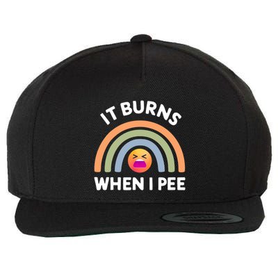 It Burns When I Pee Funny Sarcastic Wool Snapback Cap