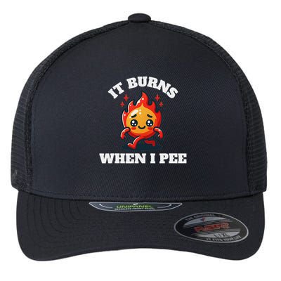 It Burns When I Pee Funny Design Sarcastic Ironic Flexfit Unipanel Trucker Cap