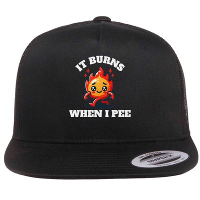 It Burns When I Pee Funny Design Sarcastic Ironic Flatbill Hat