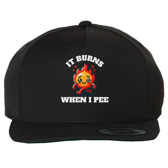 It Burns When I Pee Funny Design Sarcastic Ironic Wool Snapback Cap