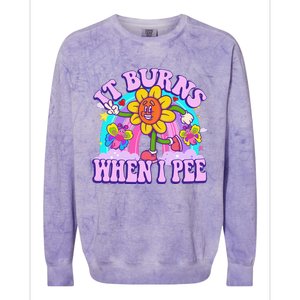 It Burns When I Pee Funny Sarcastic Ironic Inappropriate Colorblast Crewneck Sweatshirt