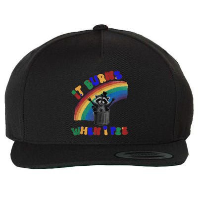 It Burns When I Pee Funny Racoon Meme Rainbow Saying Humor Wool Snapback Cap
