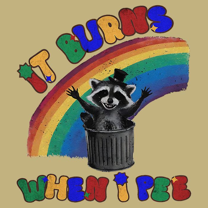 It Burns When I Pee Funny Racoon Meme Rainbow Saying Humor Magnet