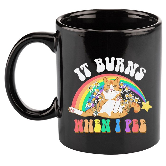 It Burns When I Pee Funny Cat Meme Rainbow Saying Sarcastic 11oz C Handle Ceramic Mug