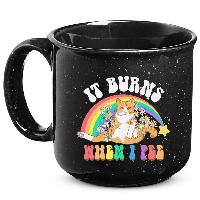 It Burns When I Pee Funny Cat Meme Rainbow Saying Sarcastic 15oz Campfire Ceramic Mug