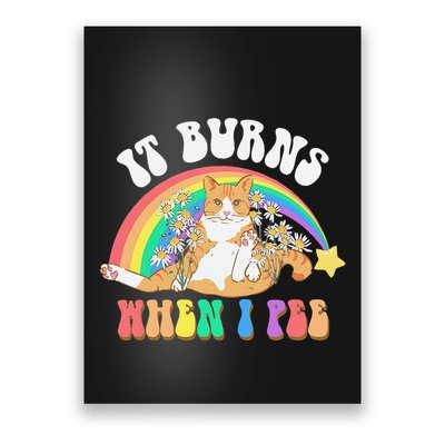 It Burns When I Pee Funny Cat Meme Rainbow Saying Sarcastic Poster