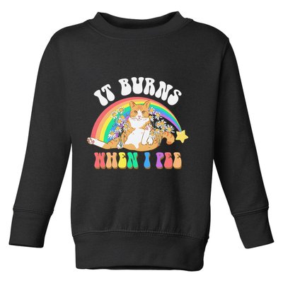 It Burns When I Pee Funny Cat Meme Rainbow Saying Sarcastic Toddler Sweatshirt