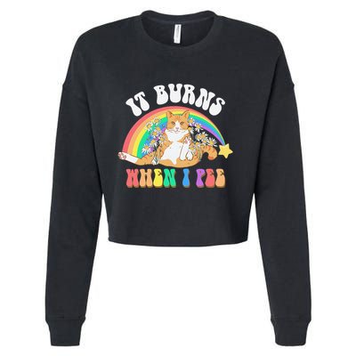 It Burns When I Pee Funny Cat Meme Rainbow Saying Sarcastic Cropped Pullover Crew