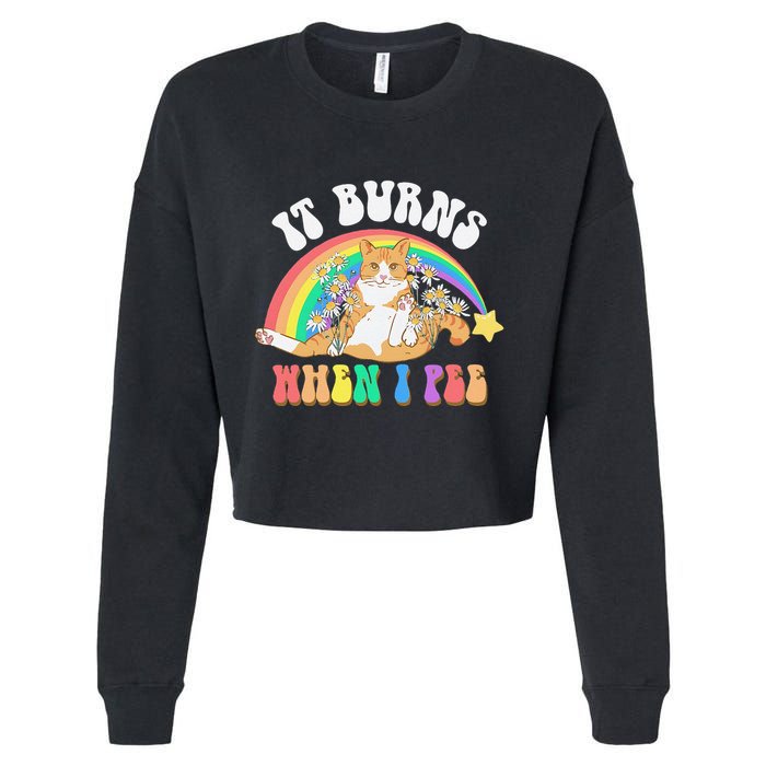 It Burns When I Pee Funny Cat Meme Rainbow Saying Sarcastic Cropped Pullover Crew