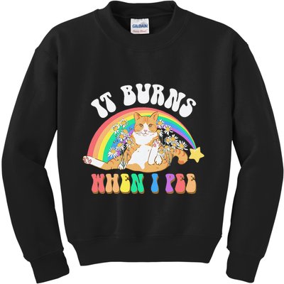 It Burns When I Pee Funny Cat Meme Rainbow Saying Sarcastic Kids Sweatshirt