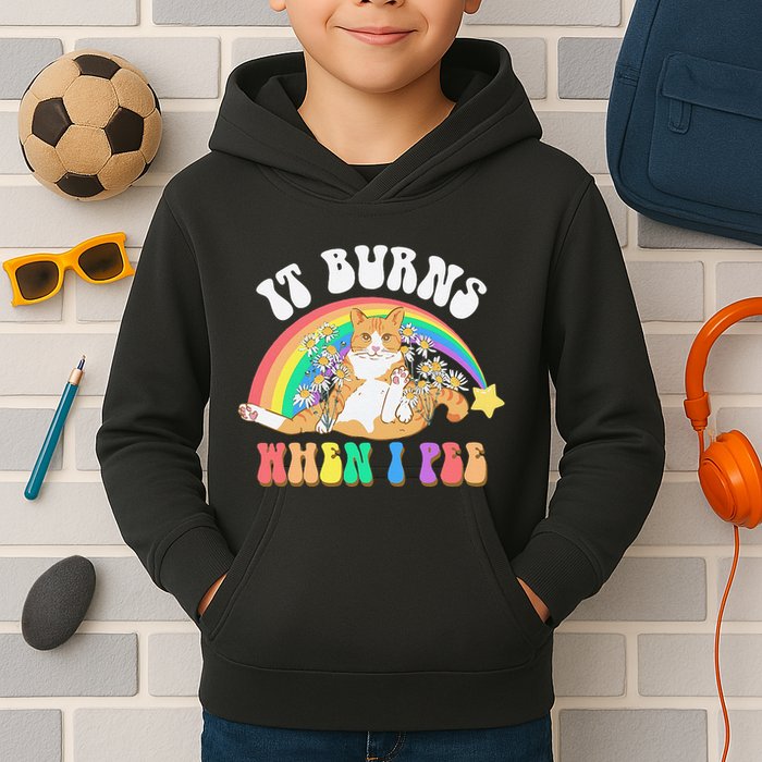 It Burns When I Pee Funny Cat Meme Rainbow Saying Sarcastic Kids Hoodie