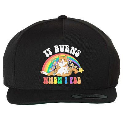 It Burns When I Pee Funny Cat Meme Rainbow Saying Sarcastic Wool Snapback Cap