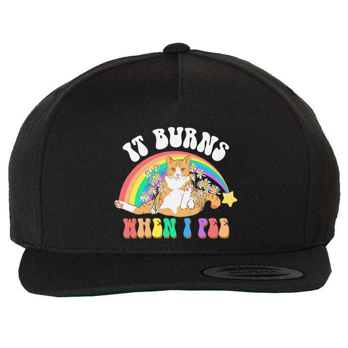 It Burns When I Pee Funny Cat Meme Rainbow Saying Sarcastic Wool Snapback Cap