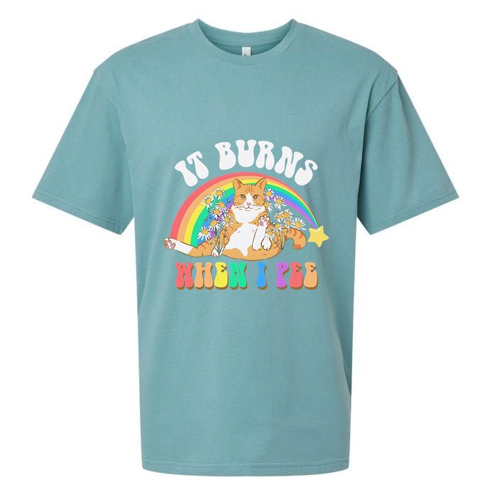 It Burns When I Pee Funny Cat Meme Rainbow Saying Sarcastic Sueded Cloud Jersey T-Shirt