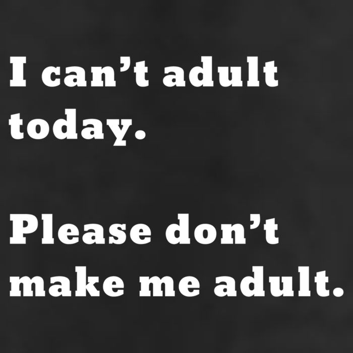 I Can’t Adult Today Please Don’t Make Me Adult Gift 7 Panel Mesh Trucker Snapback Hat
