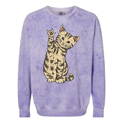 ILY Cat ASL Hand Gesture Deaf Hearing Loss Awareness Colorblast Crewneck Sweatshirt