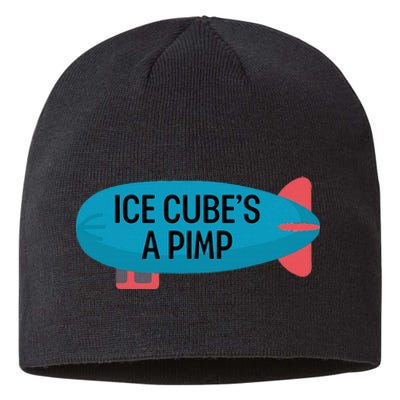 Ice CubeS A Pimp Sustainable Beanie