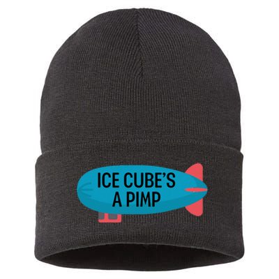 Ice CubeS A Pimp Sustainable Knit Beanie