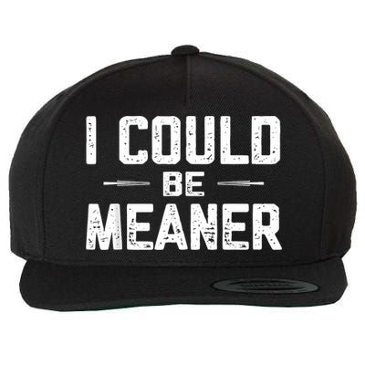 I Could Be Meaner Funny Adult Humor Funny Sarcastic Wool Snapback Cap