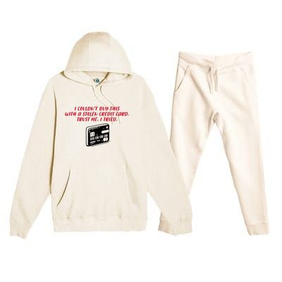 I CouldnT Buy This With A Stolen Credit Card Premium Hooded Sweatsuit Set