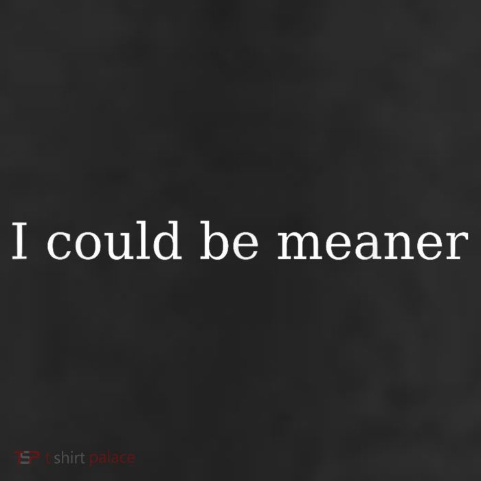 i could be meaner 11oz C Handle Ceramic Mug