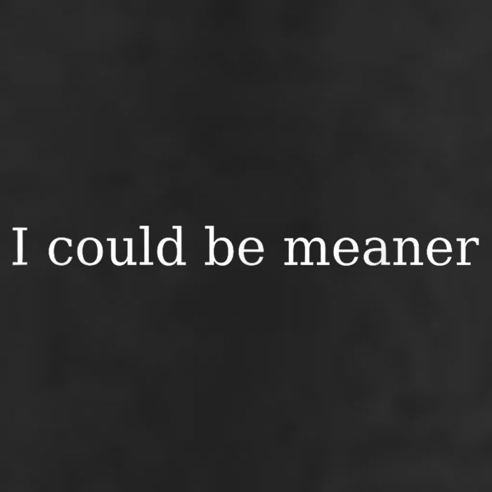 i could be meaner 15oz Campfire Ceramic Mug