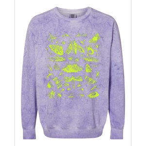 Insect Collection Bugs Entomologists Colorblast Crewneck Sweatshirt