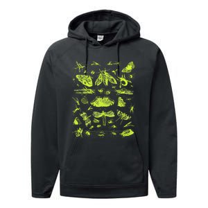 Insect Collection Bugs Entomologists Performance Fleece Hoodie