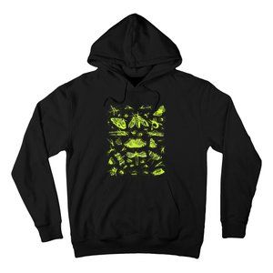 Insect Collection Bugs Entomologists Hoodie