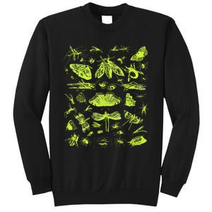 Insect Collection Bugs Entomologists Sweatshirt