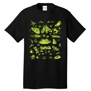 Insect Collection Bugs Entomologists Tall T-Shirt