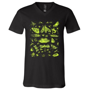 Insect Collection Bugs Entomologists V-Neck T-Shirt