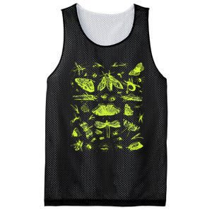 Insect Collection Bugs Entomologists Mesh Reversible Basketball Jersey Tank