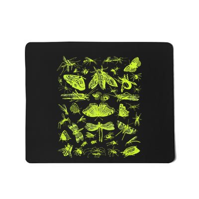 Insect Collection Bugs Entomologists Mousepad