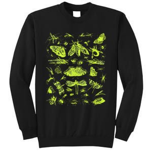 Insect Collection Bugs Entomologists Tall Sweatshirt