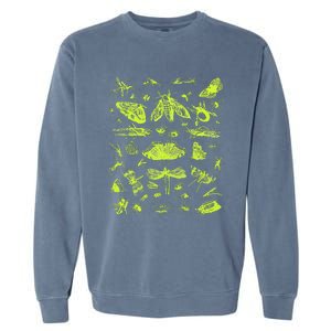 Insect Collection Bugs Entomologists Garment-Dyed Sweatshirt