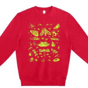 Insect Collection Bugs Entomologists Premium Crewneck Sweatshirt