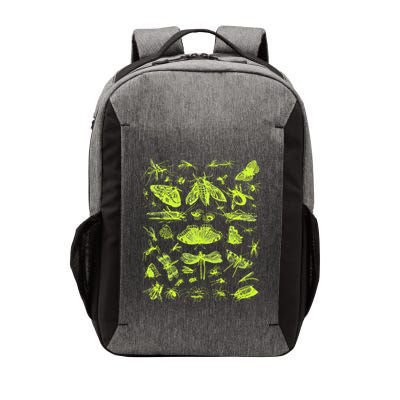 Insect Collection Bugs Entomologists Vector Backpack