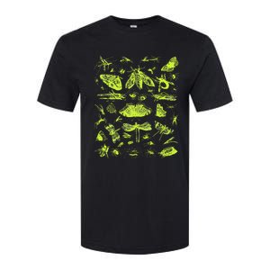 Insect Collection Bugs Entomologists Softstyle CVC T-Shirt