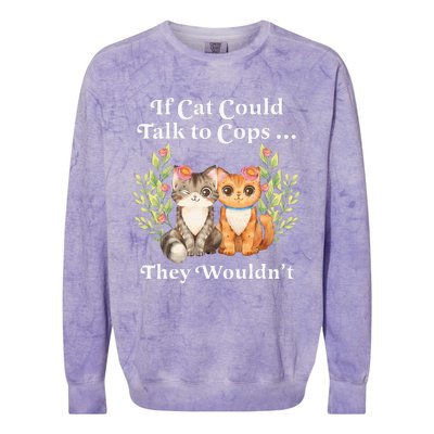 If Cats Could Talk To Cops They WouldnT Cat Owner Defund Colorblast Crewneck Sweatshirt