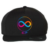 Internet Computer Cryptocurrency Logo Wool Snapback Cap