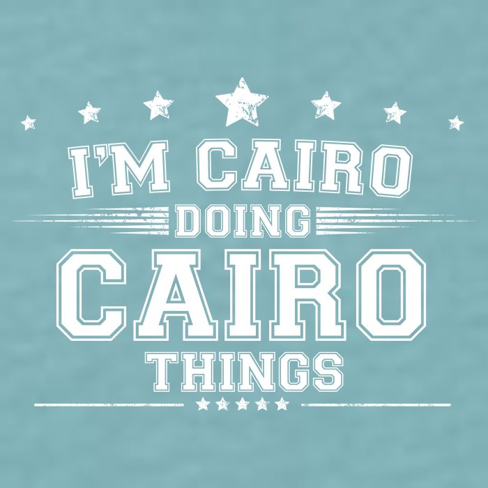 Im Cairo Doing Cairo Things Sueded Cloud Jersey T-Shirt